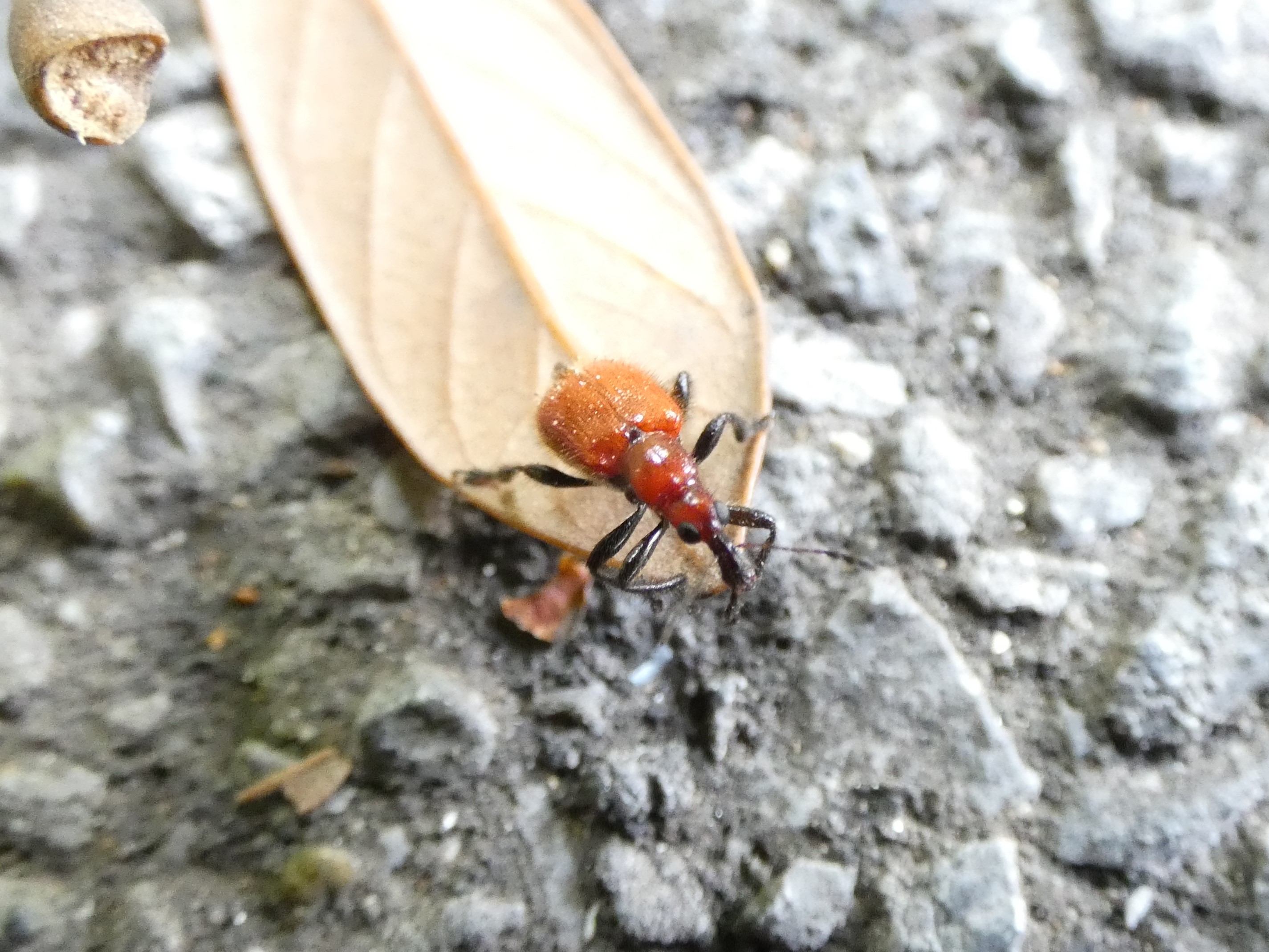 photo_1